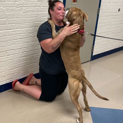 Loki the emotional support dog is reunited with his owner have two years missing