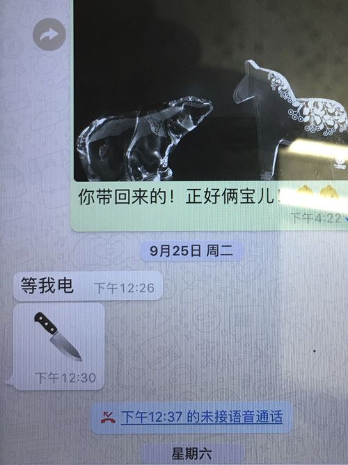 This photo shows the last message sent by missing Interpol President, Meng Hongwei, to his wife, Grace Meng