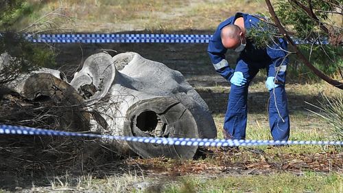 A forensic police officer examines a section of the park.