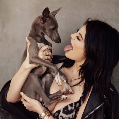 Kylie Jenner and her dogs Normie and Bambi