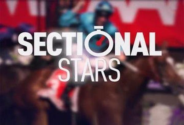 Sectional Stars