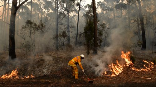 Relawan Layanan Pemadam Kebakaran Pedesaan dan petugas Pemadam Kebakaran dan Penyelamatan NSW menahan kebakaran hutan kecil yang menutup Princes Highway di selatan Ulladulla.