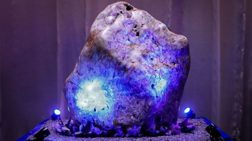 Blue gemstone weighing 310kg to be sold in Sri Lanka