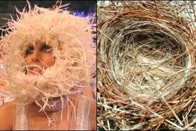 Gaga invites birds to nest on her face. <p><b>Image</b>: totallylookslike.com