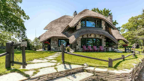Michigan 'Mushroom House' with a unique thatched roof goes on the market