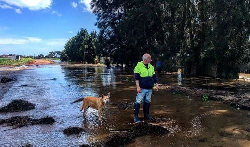 Virginia resident Dave, and his dog Chloe, inspect their home. (9NEWS)