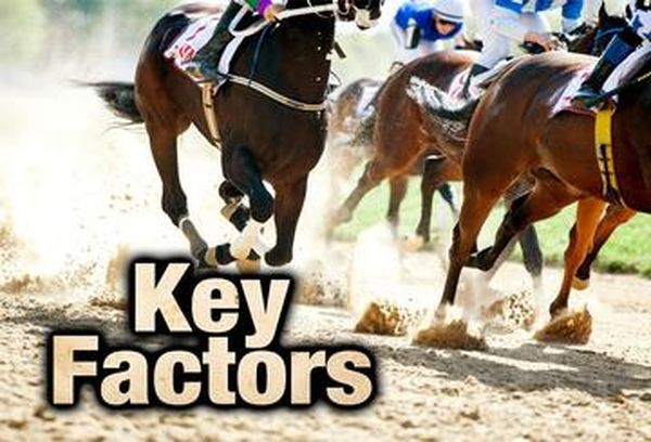 Key Factors Encore