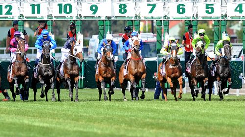 Victoria Derby Day: Perfect weather expected for more than 100,000 racegoers at Flemington