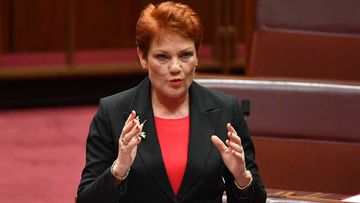 One Nation Pauline Hanson questions if the ABC salaries are in line with community expectations.