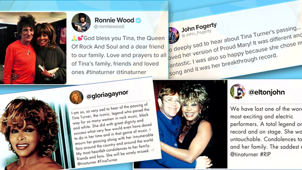 Tina Turner died without meeting her grandchildren and great-grandchildren