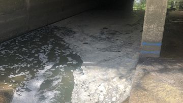 The NSW EPA said a blocked trade waste drain on-site led to 1000L to 5000L of contaminated wastewater escaping from a stormwater drain and entering the Cooks River.