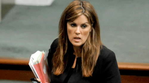 A leaked text message from party treasurer Philip Higginson to a senior Liberal member described Peta Credlin as "the Horsewoman of the Apocalypse". (AAP)