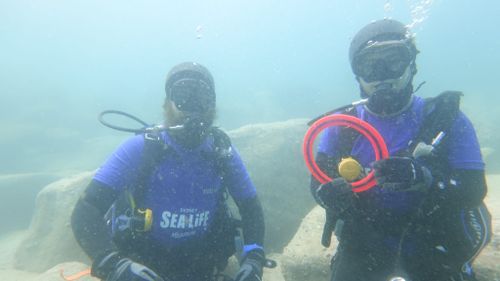 The diver's posed for a photo after the wobbegong shark was freed.