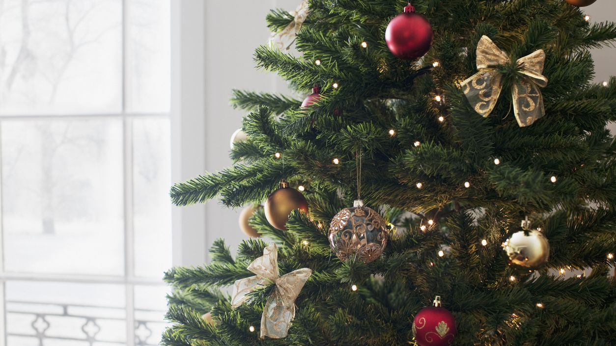 When To Put Up Your Christmas Tree Take It Down And Other Tips