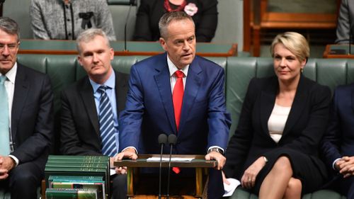 Bill Shorten delivers his budget reply. (AAP)