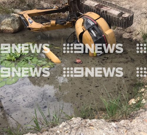 Firefighters had to drain the dam. (9NEWS)