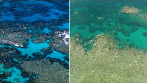 Aerial images of the Barrier reef in 1969 and 2017. (Getty Images and supplied)