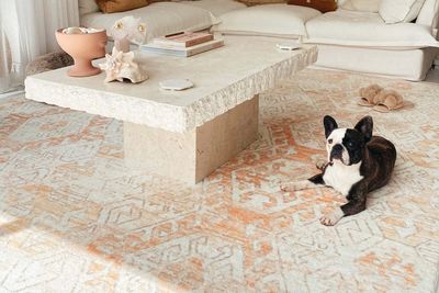 Best-selling pet-friendly rugs are back in stock