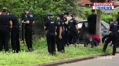 A dozen police arrived at Bray Street after the crash and arrested the two men in the vehicle.