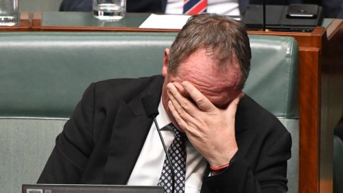 Former deputy prime minister Barnaby Joyce during Question Time in the House of Representatives at Parliament House in Canberra on February 27. (AAP)