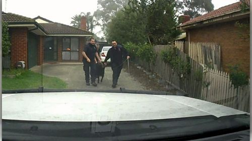 LeBron was eventually cornered in a driveway by the rangers. Picture: Supplied