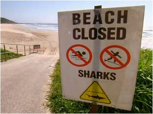 In South Australia, the SES told 9News.com.au a difference in water conditions allows for the state government to rely on aerial patrols over solutions used in other states, such as shark nets and drum lines.