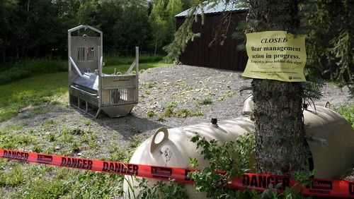 A bear trap set by Montana Fish, Wildlife and Parks on Wednesday, July 7, 2021, in the camping area in Ovando, Mont., where bicycle tourist Leah Davis Lokan of Chico, Calif., was pulled out of her tent and killed by a grizzly bear on July 6, 2021. An investigation found Lokan was the victim of a rare predatory attack by a food-conditioned bear that was likely attracted to food in and near her tent and scents left behind from recent picnics.