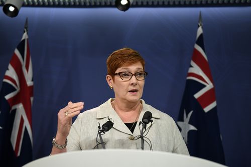 Foreign Minister Marise Payne was quizzed about the detention yesterday.