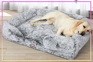 Hest Dog Bed, Small