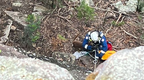 Dog rescued after falling off cliff at Yerriyong on NSW South Coast