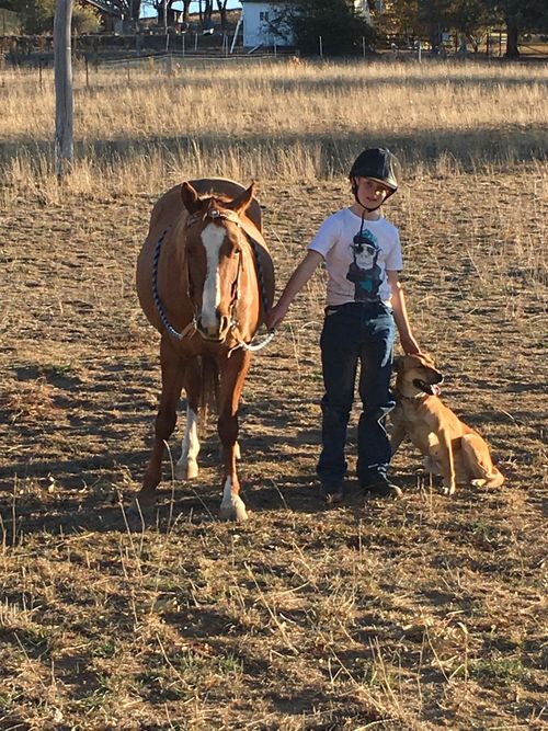 Sarah McKiernan said food they've bought to feed their cattle is running out.