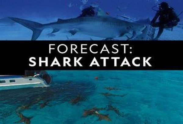 Forecast Shark Attack