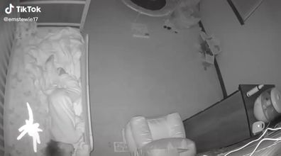 Spider caught on baby monitor. 