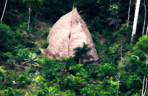 A wooden thatched building known as a Maloca was shown in one of the drone images taken over Brazil's Amazon region.