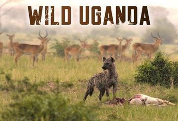 Wild Uganda