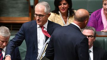 Peter Dutton lead an intra-party coup against Malcolm Turnbull last year.