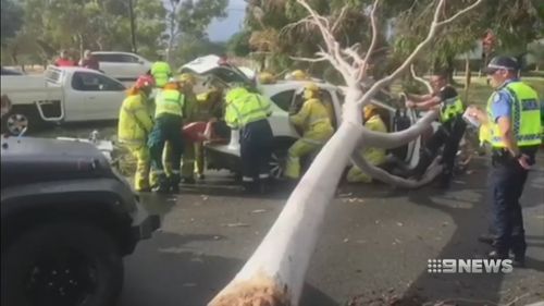 A tree came crashing down on the couple's car. (9NEWS)