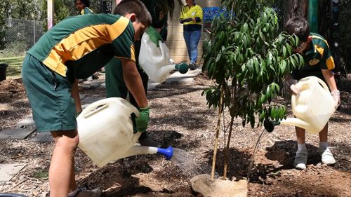 Students from Mary Immaculate Parish Primary School in Eagle Vale, south west Sydney, are pictured planting trees.