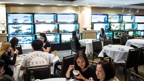 Golden Century was well-known for its walls lined with seafood tanks.