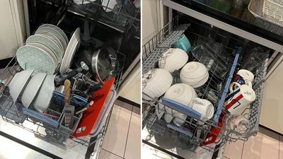 Jo's dishwasher