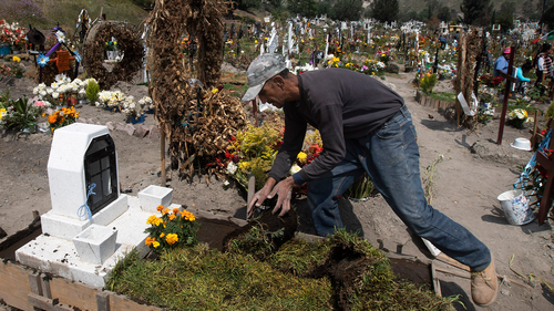 Cemetery worker Jorge Arvizu spreads a top dressing of green on the grave of Vicente Dominguez who died of complications related to the new coronavirus, at the municipal cemetery Valle de Chalco, on the outskirts of Mexico City, Tuesday, Oct. 20, 2020. 