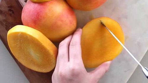 Mangoes recalled in South Australia over fruit fly lavae discovery