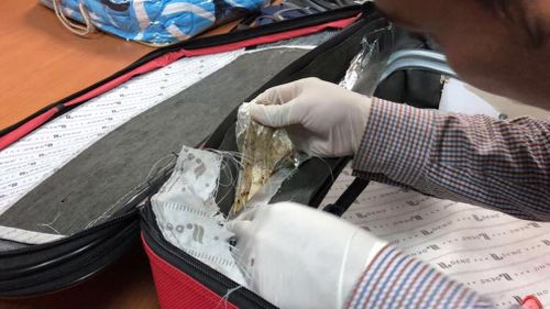 Heroin allegedly found in the suitcase of Australian woman VeThi Tran.
 (Image: Cambodia General Department of Immigration/Facebook)