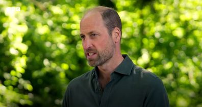Prince William speaks in the first episode of Guardians