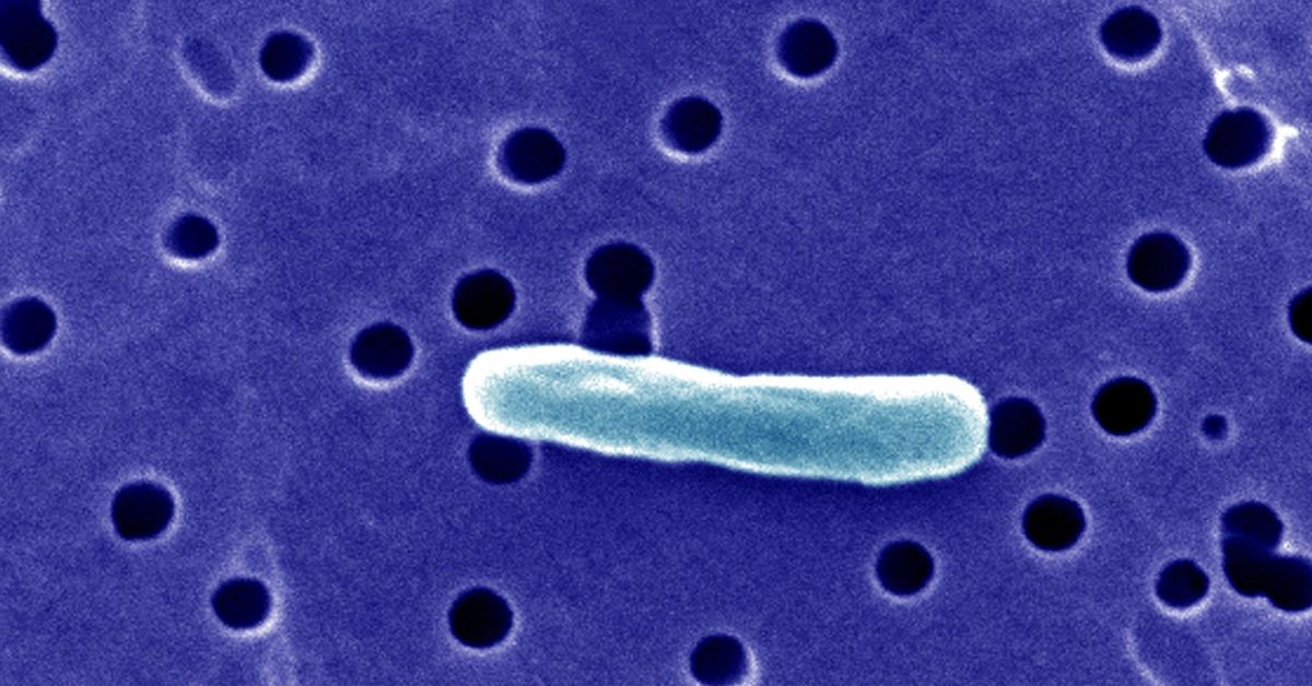 Nearly two dozen people in Florida are ill after drinking raw milk from the same farm