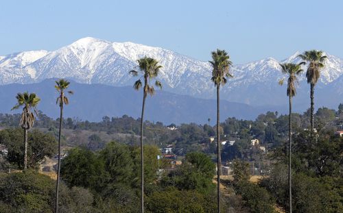 Mount Baldy