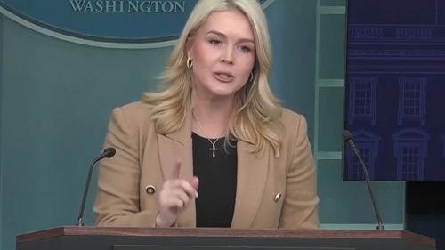 White House press secretary Karoline Leavitt lashed out at a journalist on Thursday (US time).
