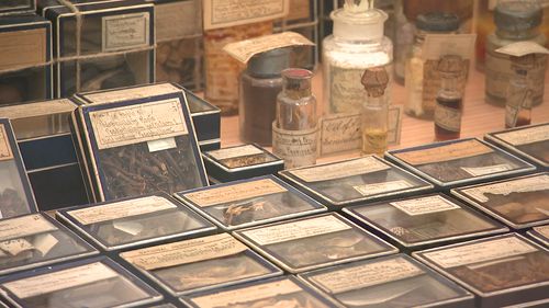 Australia's biggest and newest Herbarium has opened in Sydney's west housing more than a million plant specimens. 