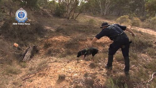 Specialist police dogs were used as part of the search.