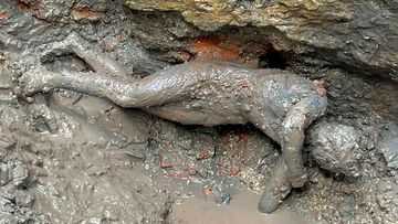 A statue found at an ancient Tuscan thermal spring in San Casciano dei Bagni.